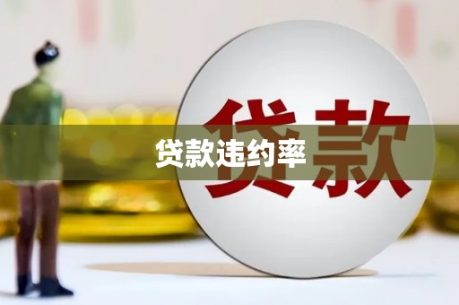 阿拉善左旗贷款违约率