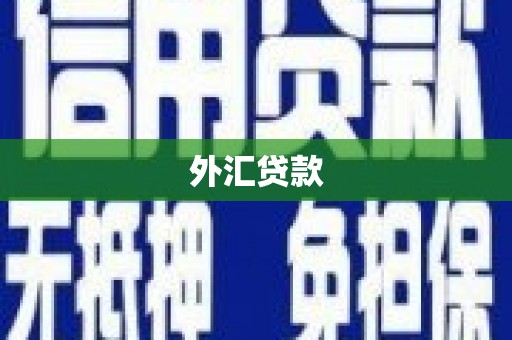 阿拉善左旗外汇贷款