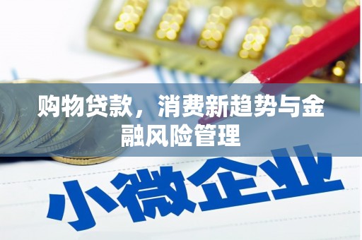 阿拉善左旗购物贷款，消费新趋势与金融风险管理
