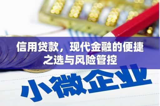 阿拉善左旗信用贷款，现代金融的便捷之选与风险管控