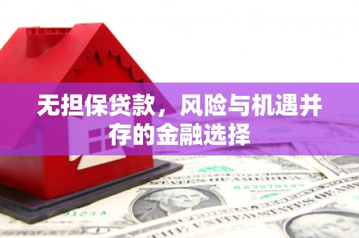 阿拉善左旗无担保贷款，风险与机遇并存的金融选择