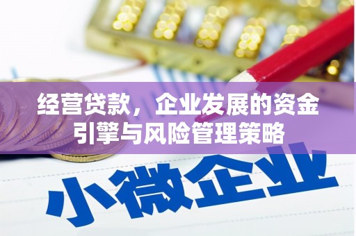 阿拉善左旗经营贷款，企业发展的资金引擎与风险管理策略