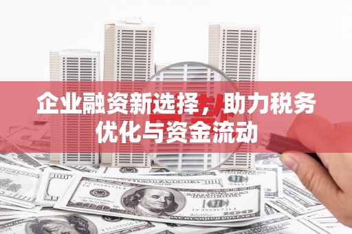 阿拉善左旗企业融资新选择，助力税务优化与资金流动