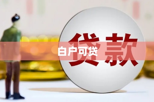 阿拉善左旗白户可贷