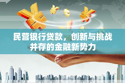 阿拉善左旗民营银行贷款，创新与挑战并存的金融新势力