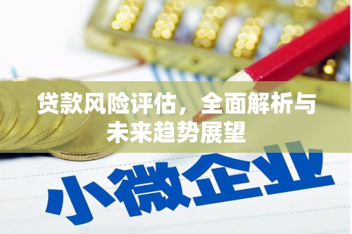 阿拉善左旗贷款风险评估，全面解析与未来趋势展望