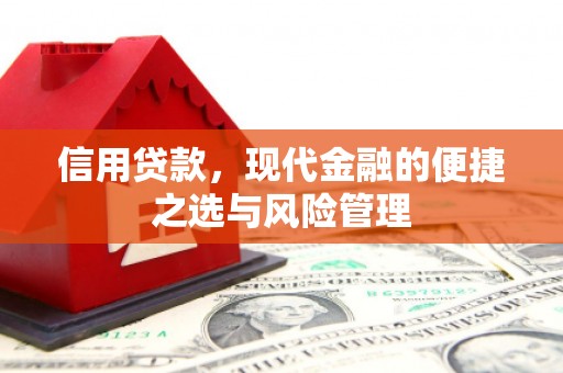 阿拉善左旗信用贷款，现代金融的便捷之选与风险管理