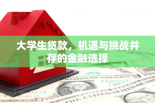 阿拉善左旗大学生贷款，机遇与挑战并存的金融选择