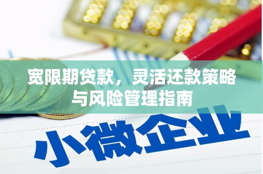 阿拉善左旗宽限期贷款，灵活还款策略与风险管理指南