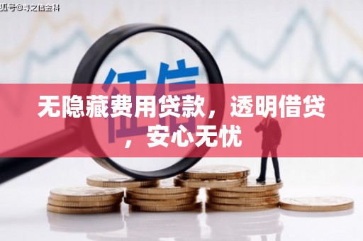 阿拉善左旗无隐藏费用贷款，透明借贷，安心无忧