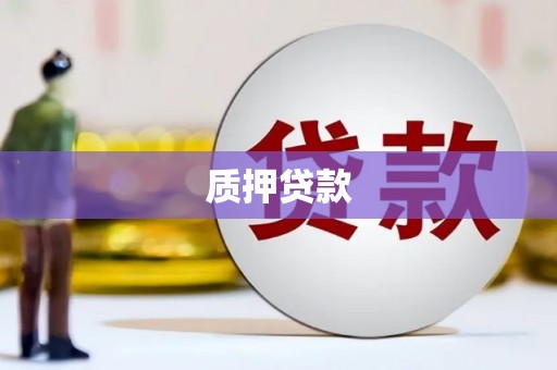 阿拉善左旗质押贷款