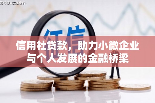 阿拉善左旗信用社贷款，助力小微企业与个人发展的金融桥梁