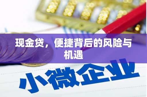 阿拉善左旗现金贷，便捷背后的风险与机遇