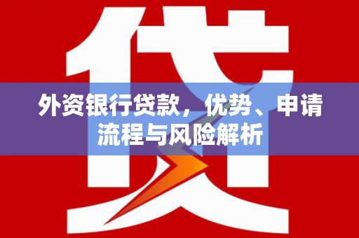 阿拉善左旗外资银行贷款，优势、申请流程与风险解析