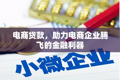 阿拉善左旗电商贷款，助力电商企业腾飞的金融利器
