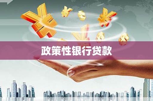 阿拉善左旗政策性银行贷款