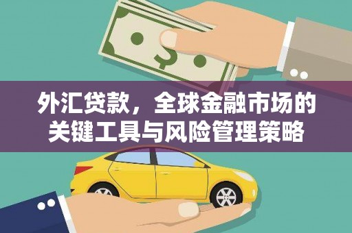 阿拉善左旗外汇贷款，全球金融市场的关键工具与风险管理策略