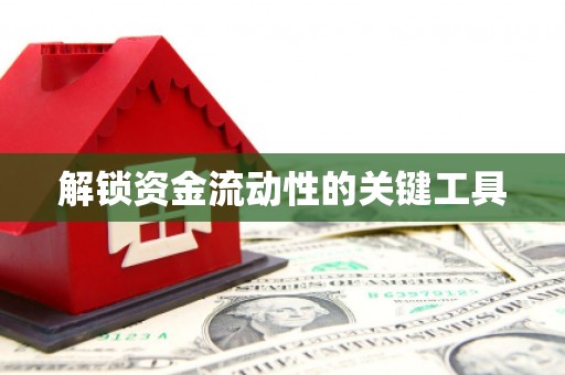 阿拉善左旗解锁资金流动性的关键工具