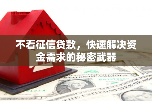 阿拉善左旗不看征信贷款，快速解决资金需求的秘密武器
