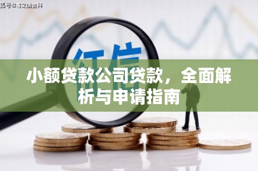 阿拉善左旗小额贷款公司贷款，全面解析与申请指南