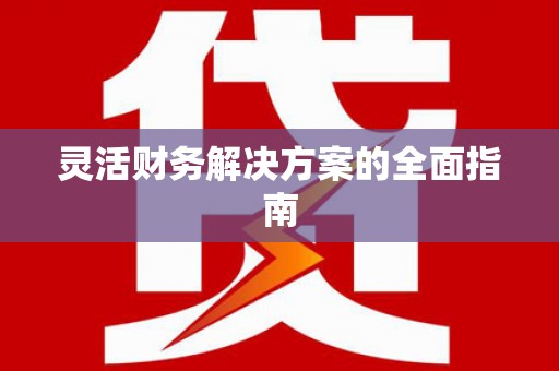 阿拉善左旗灵活财务解决方案的全面指南