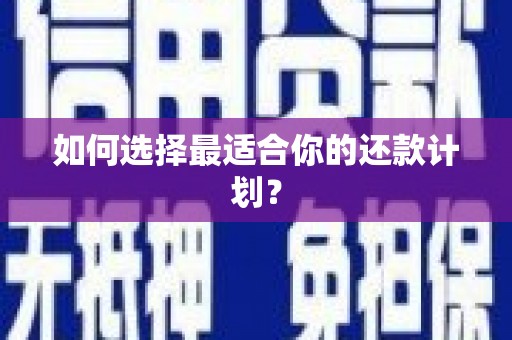 阿拉善左旗如何选择最适合你的还款计划？