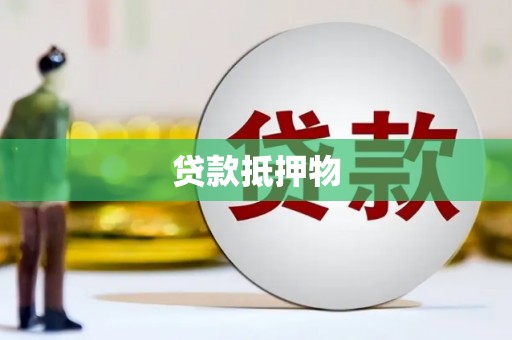 阿拉善左旗贷款抵押物