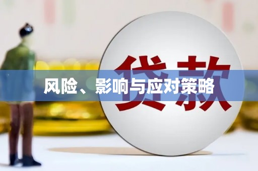 阿拉善左旗风险、影响与应对策略