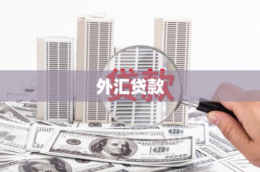 阿拉善左旗外汇贷款