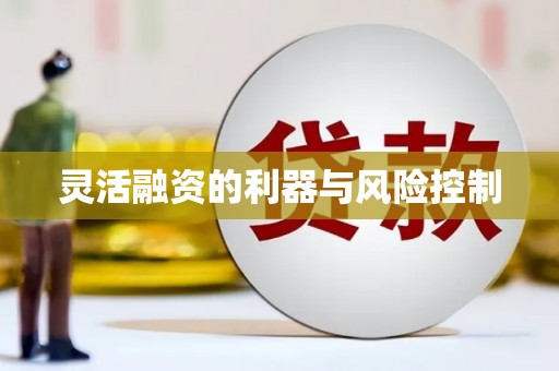 阿拉善左旗灵活融资的利器与风险控制