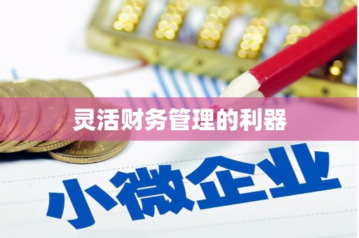 阿拉善左旗灵活财务管理的利器
