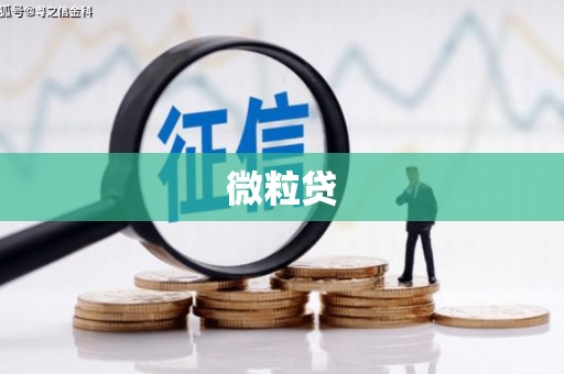 阿拉善左旗微粒贷