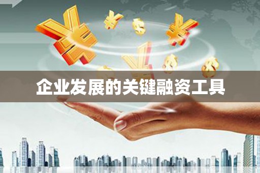 阿拉善左旗企业发展的关键融资工具