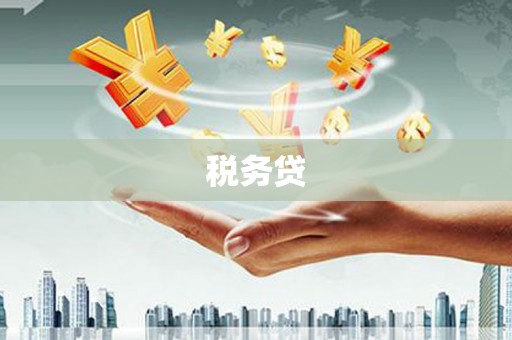 阿拉善左旗税务贷