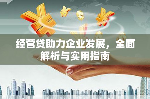 阿拉善左旗经营贷助力企业发展，全面解析与实用指南