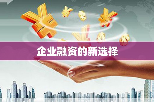 阿拉善左旗企业融资的新选择
