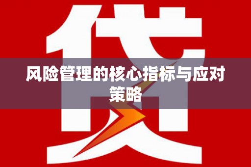 阿拉善左旗风险管理的核心指标与应对策略