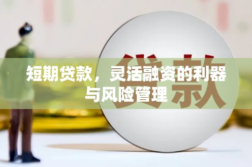 阿拉善左旗短期贷款，灵活融资的利器与风险管理