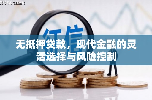 阿拉善左旗无抵押贷款，现代金融的灵活选择与风险控制