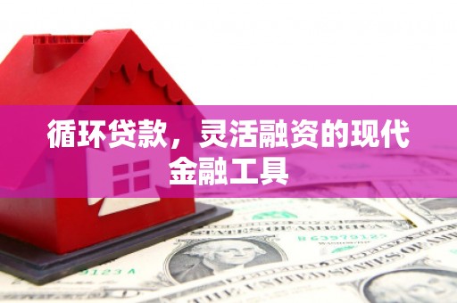 阿拉善左旗循环贷款，灵活融资的现代金融工具