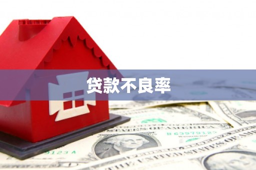 阿拉善左旗贷款不良率