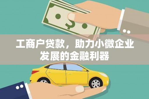 阿拉善左旗工商户贷款，助力小微企业发展的金融利器