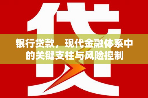 阿拉善左旗银行贷款，现代金融体系中的关键支柱与风险控制