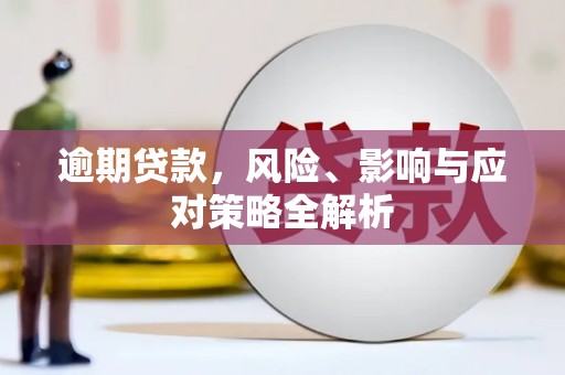 阿拉善左旗逾期贷款，风险、影响与应对策略全解析
