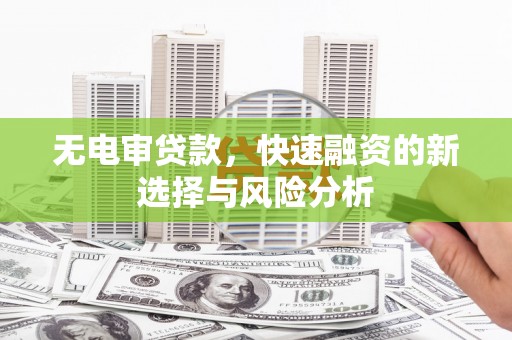 阿拉善左旗无电审贷款，快速融资的新选择与风险分析