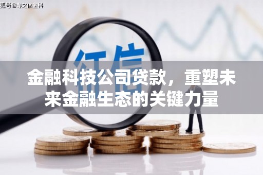 阿拉善左旗金融科技公司贷款，重塑未来金融生态的关键力量