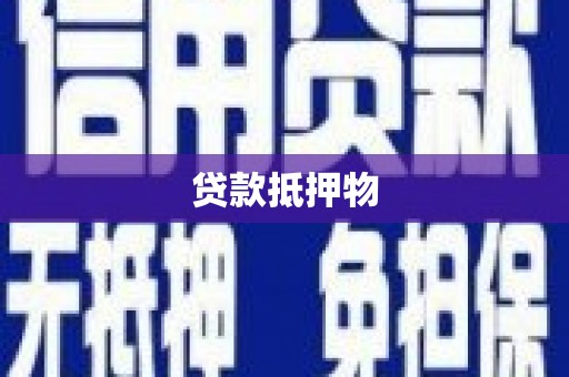 阿拉善左旗贷款抵押物