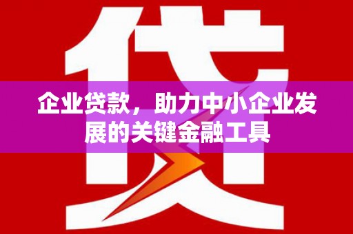 阿拉善左旗企业贷款，助力中小企业发展的关键金融工具