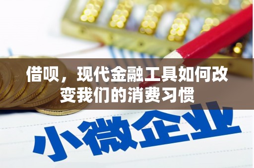阿拉善左旗借呗，现代金融工具如何改变我们的消费习惯