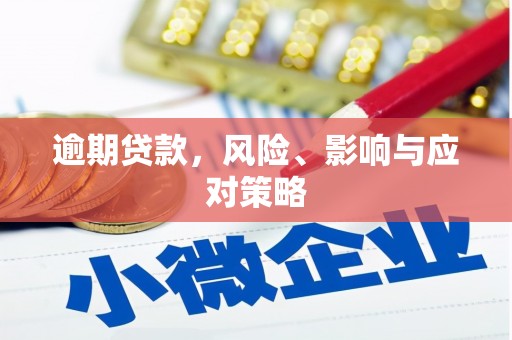 阿拉善左旗逾期贷款，风险、影响与应对策略
